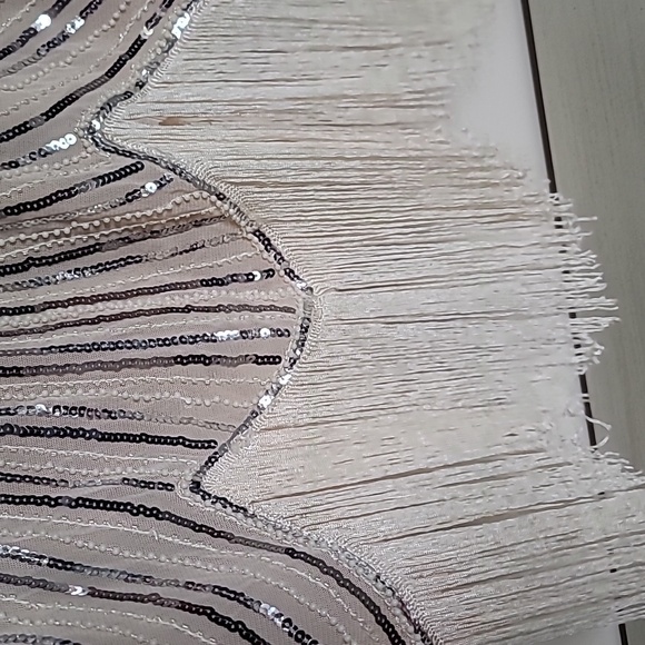 Beaded sequin embellished fringe flapper dress - Picture 7 of 8